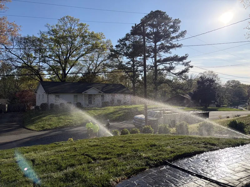 Irrigation fescue sod