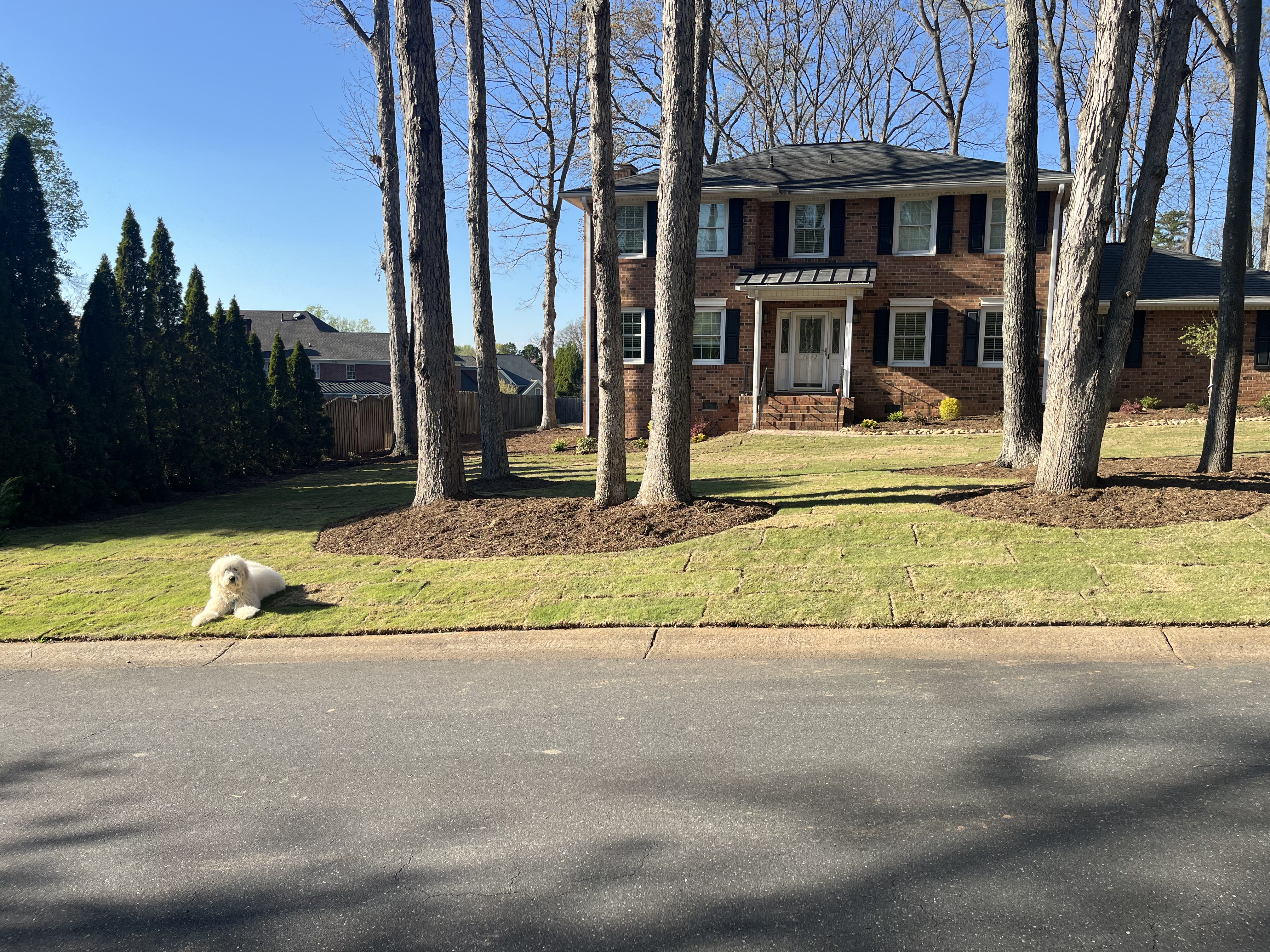 Smart Irrigation, Smarter Savings: Unpacking Charlotte’s Smart Water Program with Mr. Outdoor Living