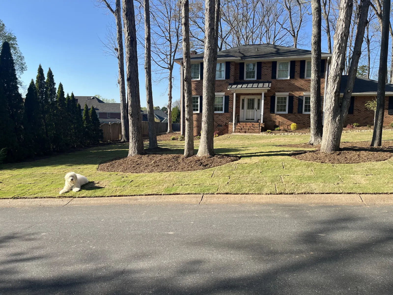 Smart Irrigation, Smarter Savings: Unpacking Charlotte’s Smart Water Program with Mr. Outdoor Living