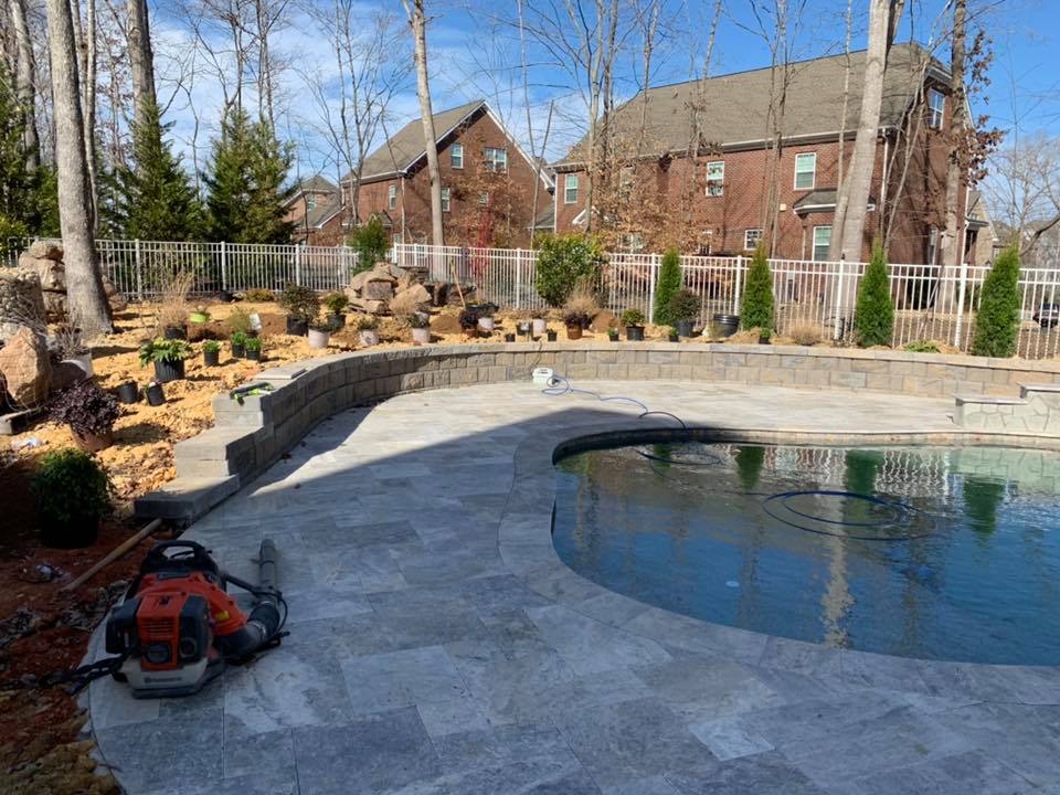 Beautiful pool with new plantings around