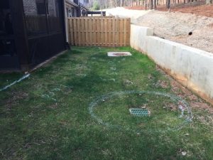 Maintenance Free Backyard - 4