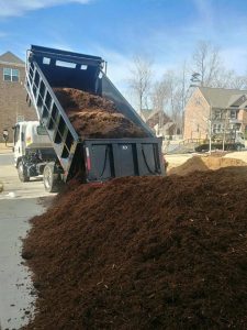 Dumping the Mulch