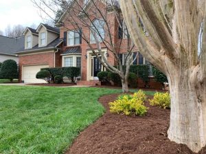 Simple Affordable Curb Appeal