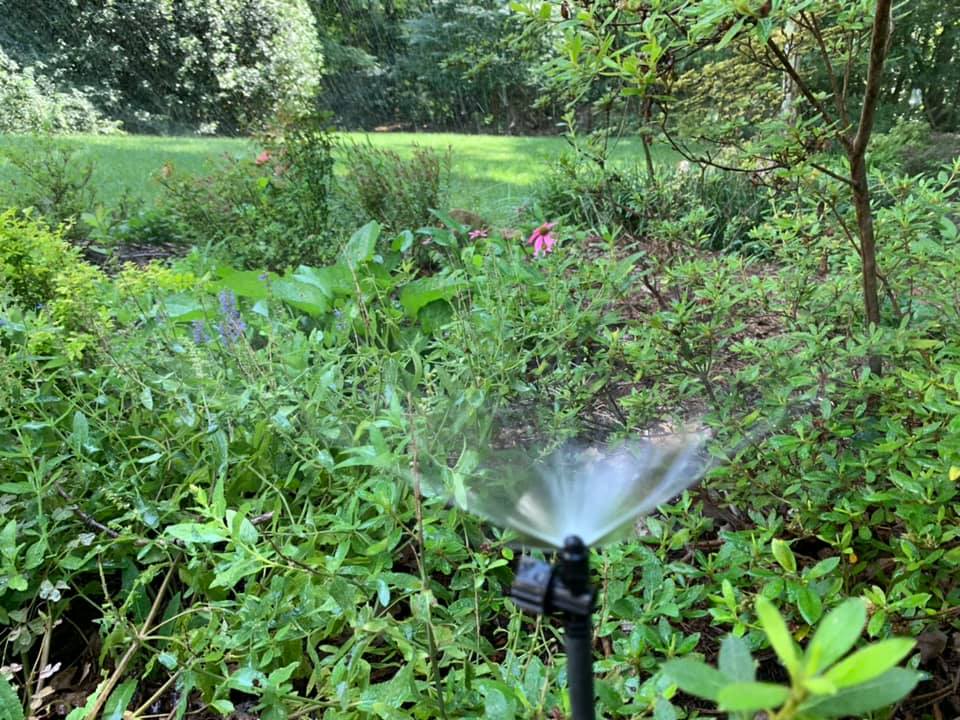 Irrigation Misters – Outdoor Living Tip of the Day
