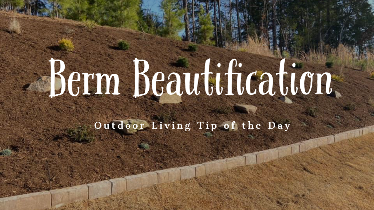 Berm Beautification – Outdoor Living Tip of the Day