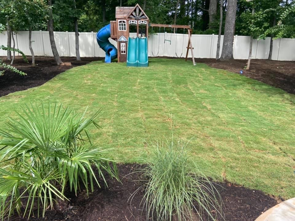 New Sod – Outdoor Living Tip of the Day