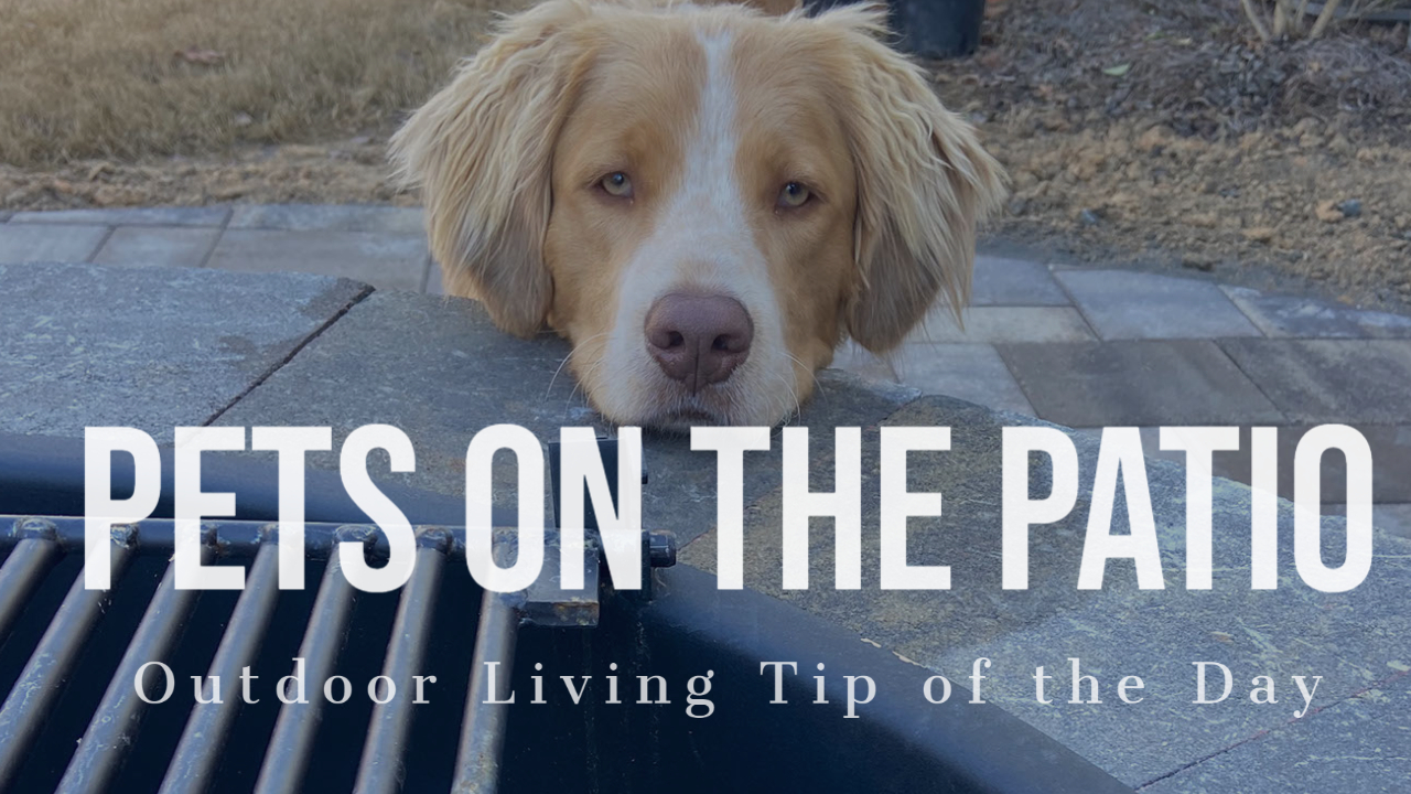 Pets on the Patio – Outdoor Living Tip of the Day