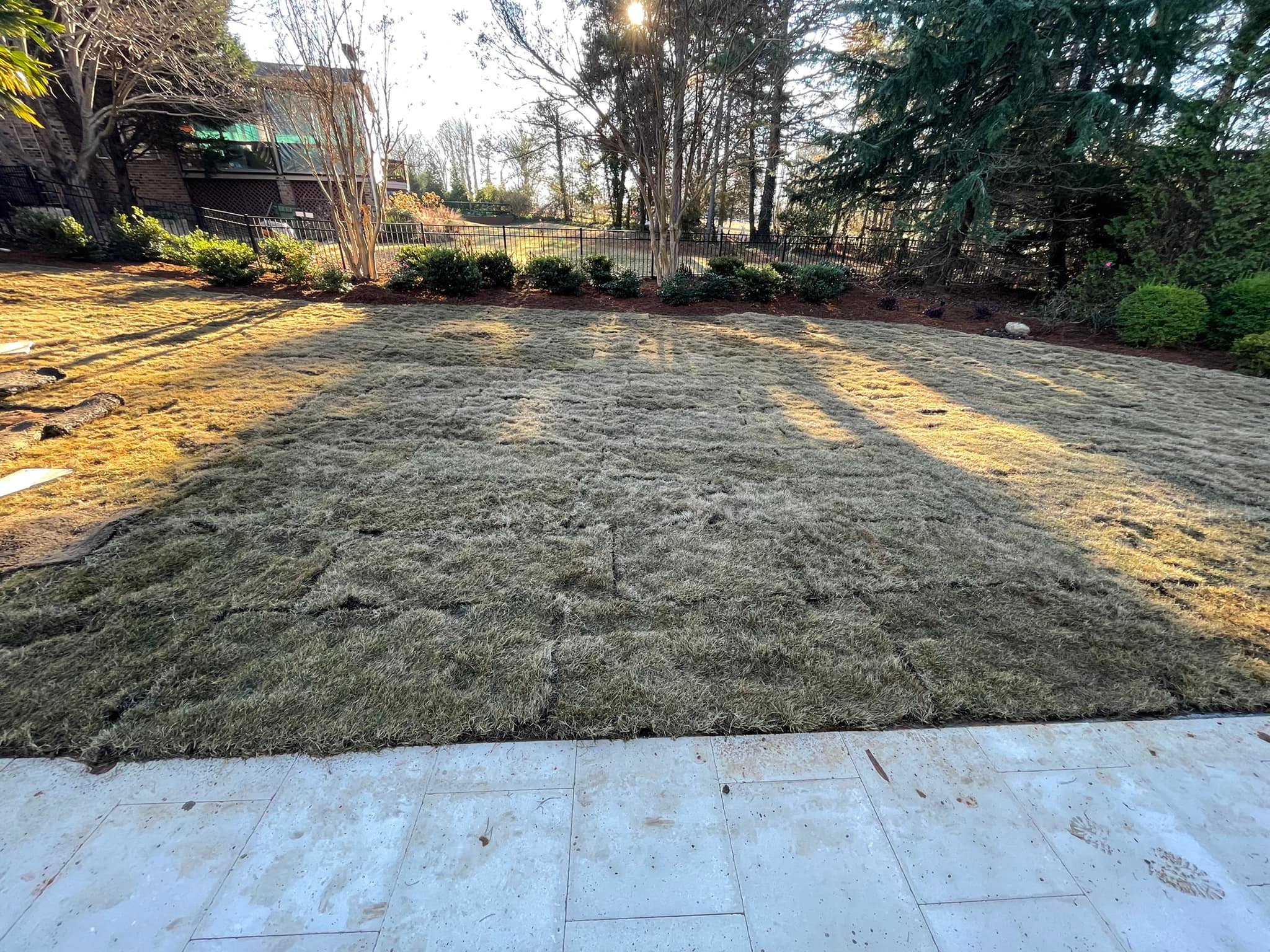 Zeon Zoysia Grass Sod – Outdoor Living Tip of the Day