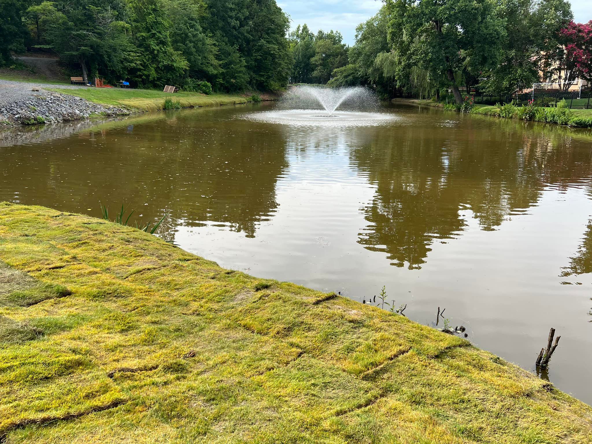 TifTuf Bermuda Grass Sod – Outdoor Living Tip of the Day