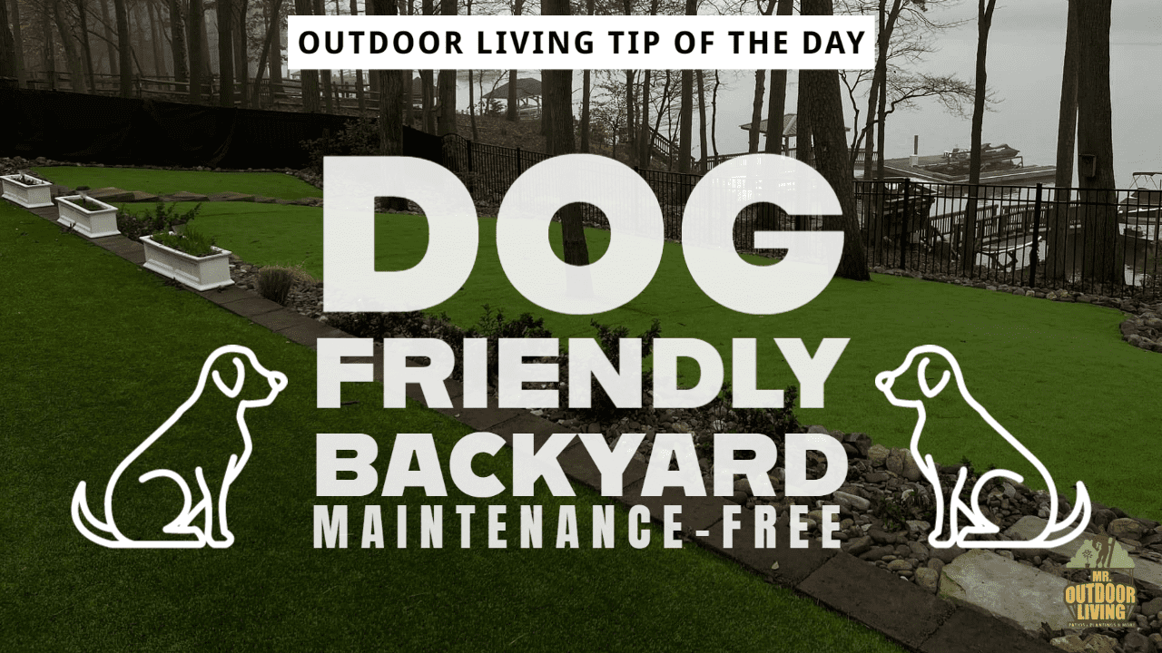 Dog Friendly Backyard – Outdoor Living Tip of the Day