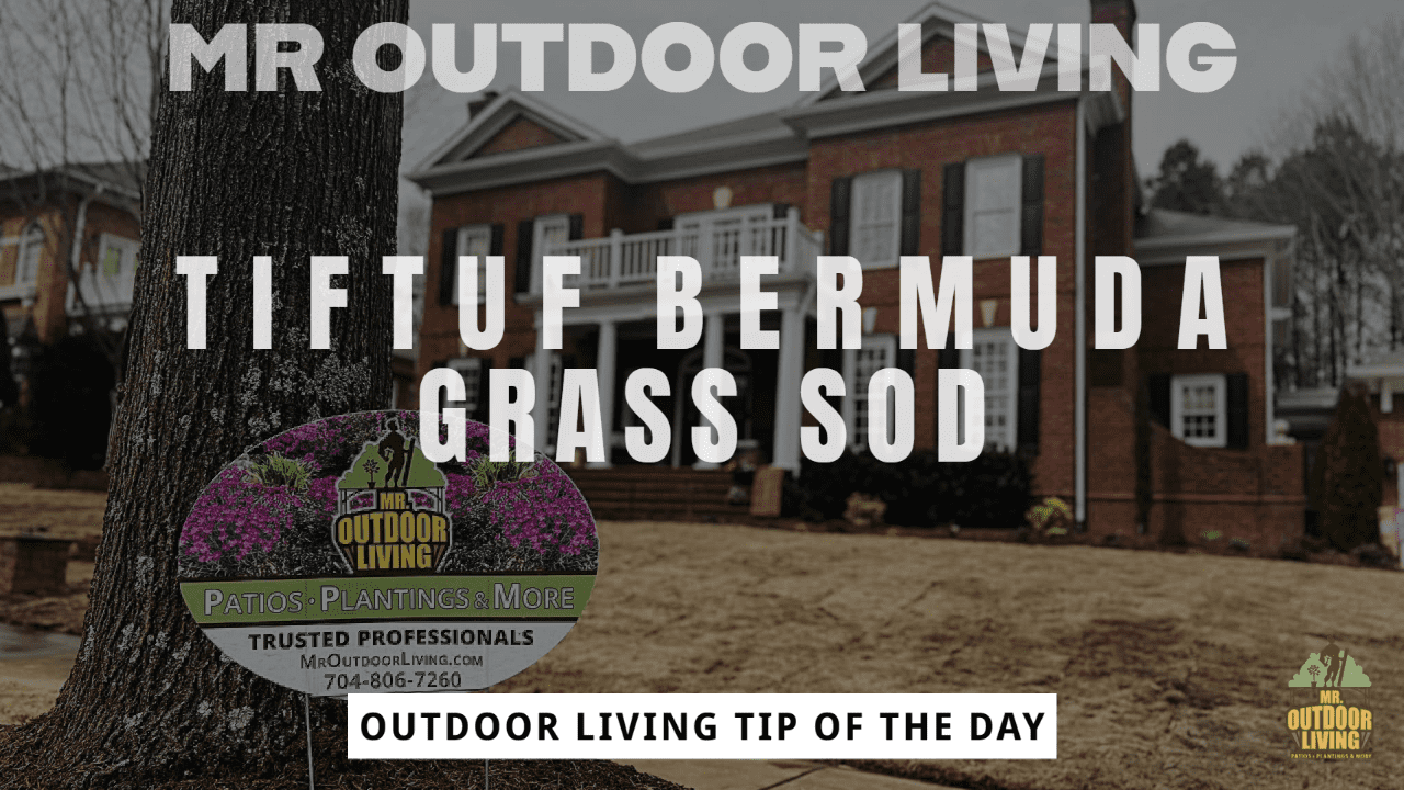 TifTuf Bermuda Grass Sod – Outdoor Living Tip of the Day