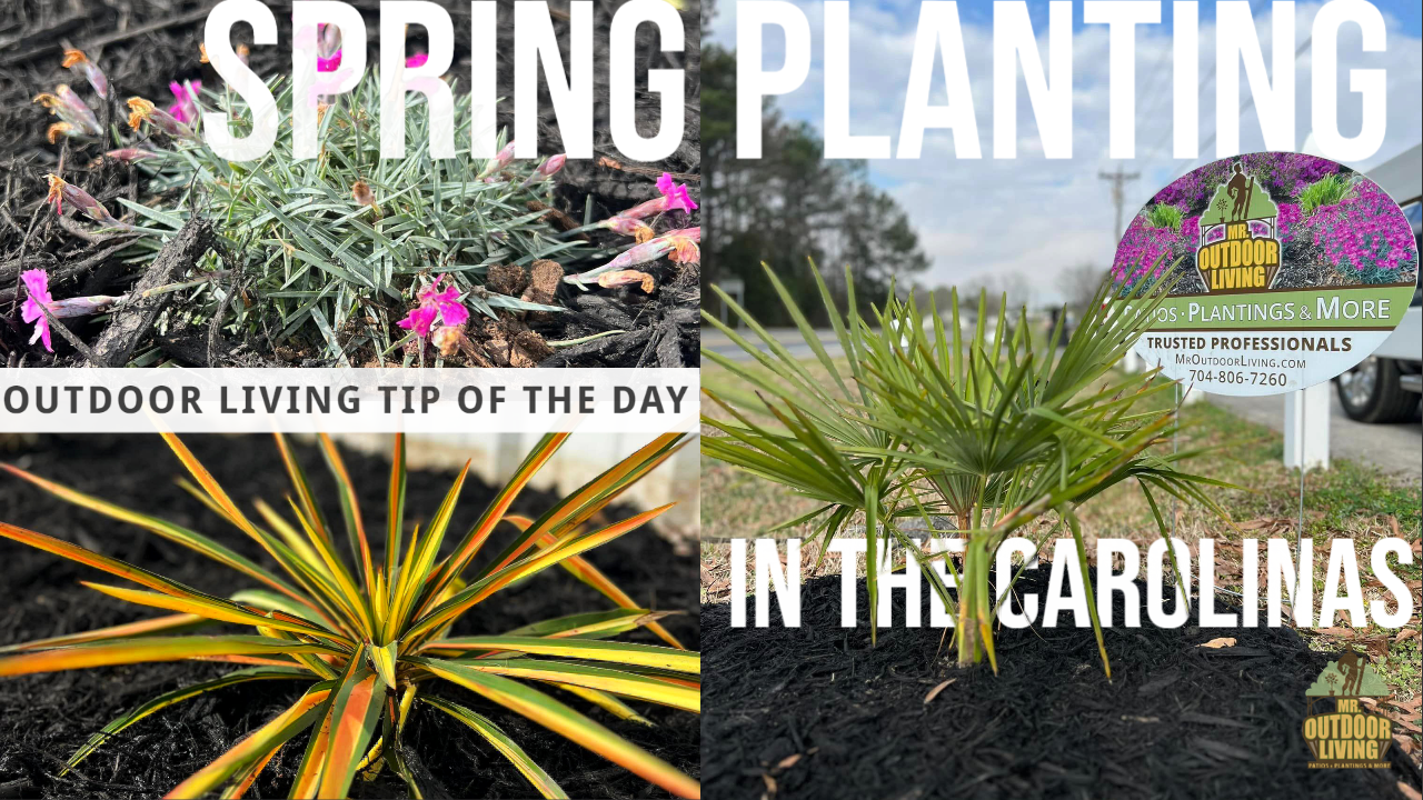 Spring Planting in the Carolinas – Outdoor Living Tip of the Day
