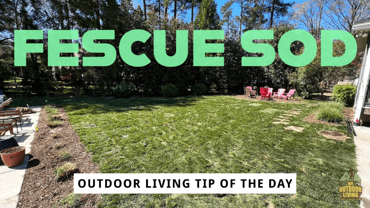 Fescue Sod – Outdoor Living Tip of the Day