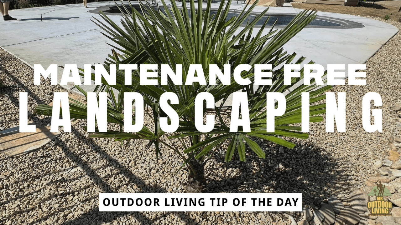 Maintenance Free Landscaping – Outdoor Living Tip of the Day