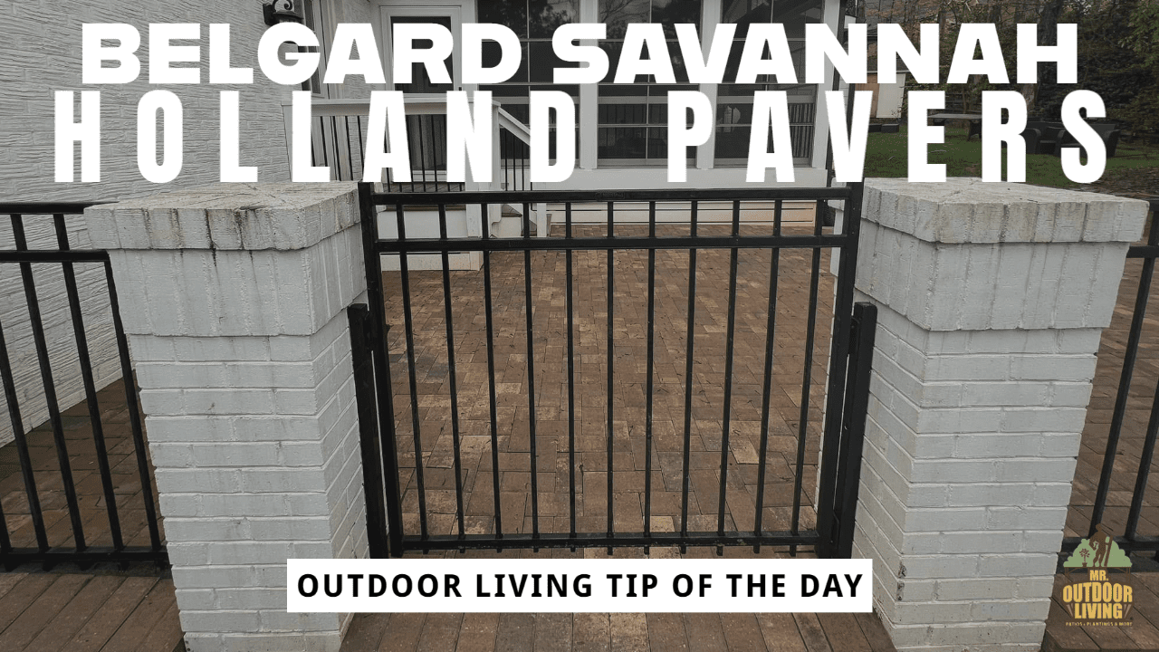 Belgard Savannah Holland Pavers – Outdoor Living Tip of the Day