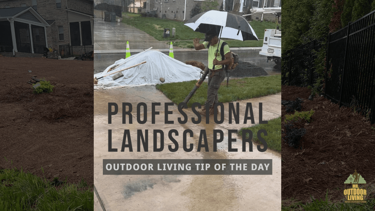 Professional Landscapers – Outdoor Living Tip of the Day