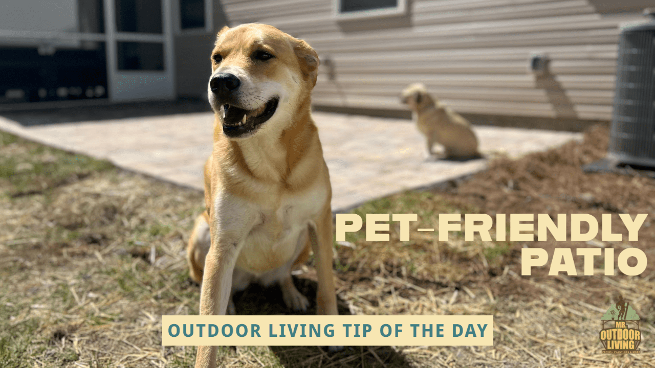 Pet-Friendly Patio – Outdoor Living Tip of the Day