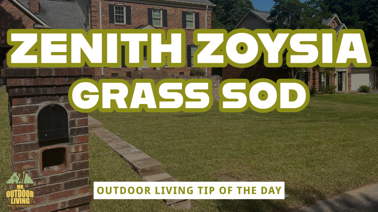 Zenith Zoysia Grass Sod – Outdoor Living Tip of the Day