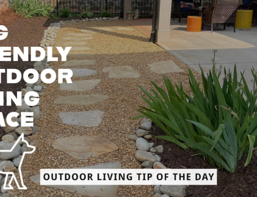 Dog Friendly Outdoor Living Space – Outdoor Living Tip of the Day