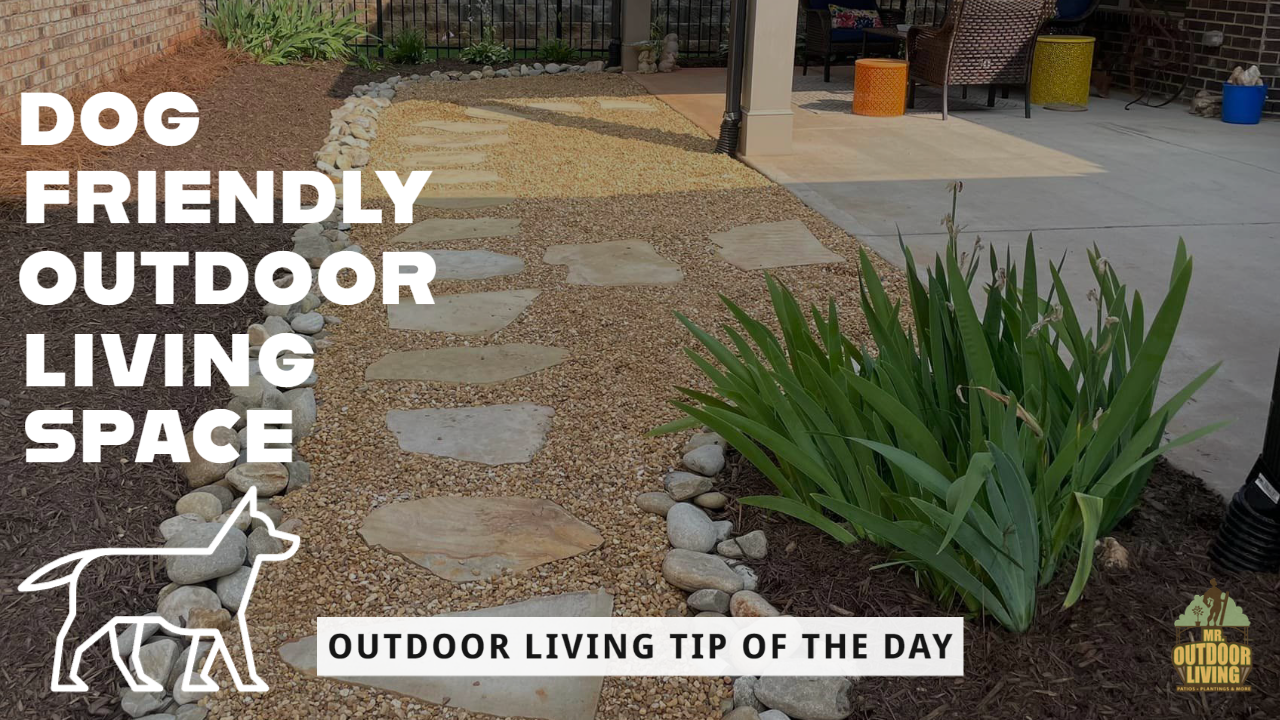 Dog Friendly Outdoor Living Space – Outdoor Living Tip of the Day