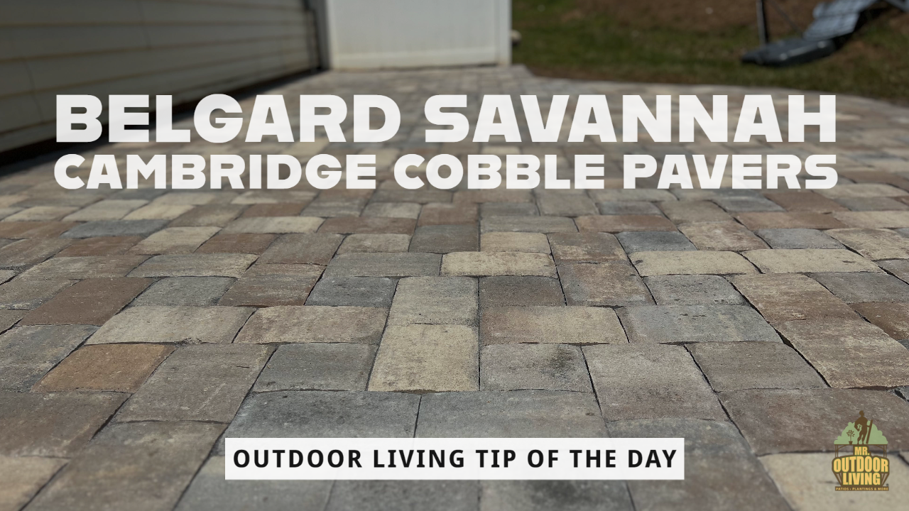 Belgard Savannah Cambridge Cobble Pavers – Outdoor Living Tip of the Day