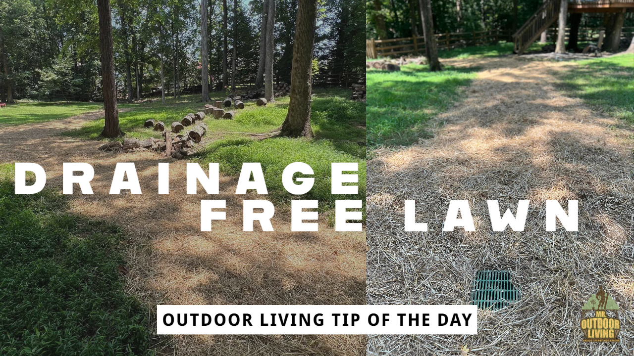 Drainage-Free Lawn – Outdoor Living Tip of the Day