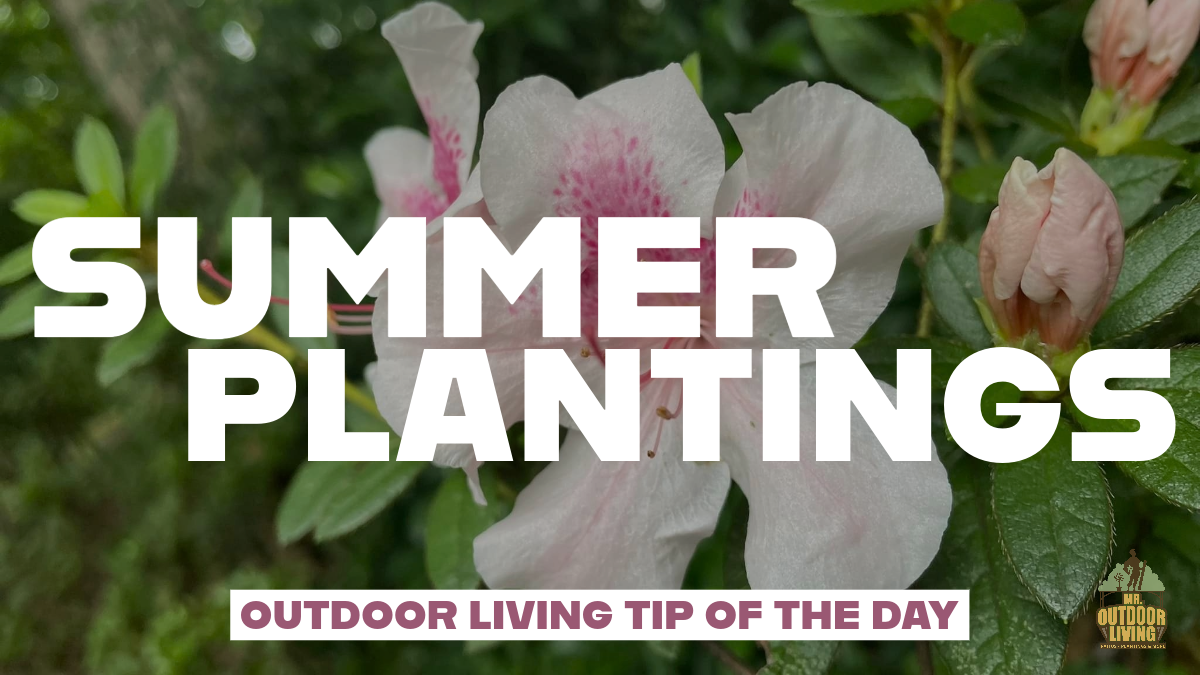 End of Summer Plantings – Outdoor Living Tip of the Day