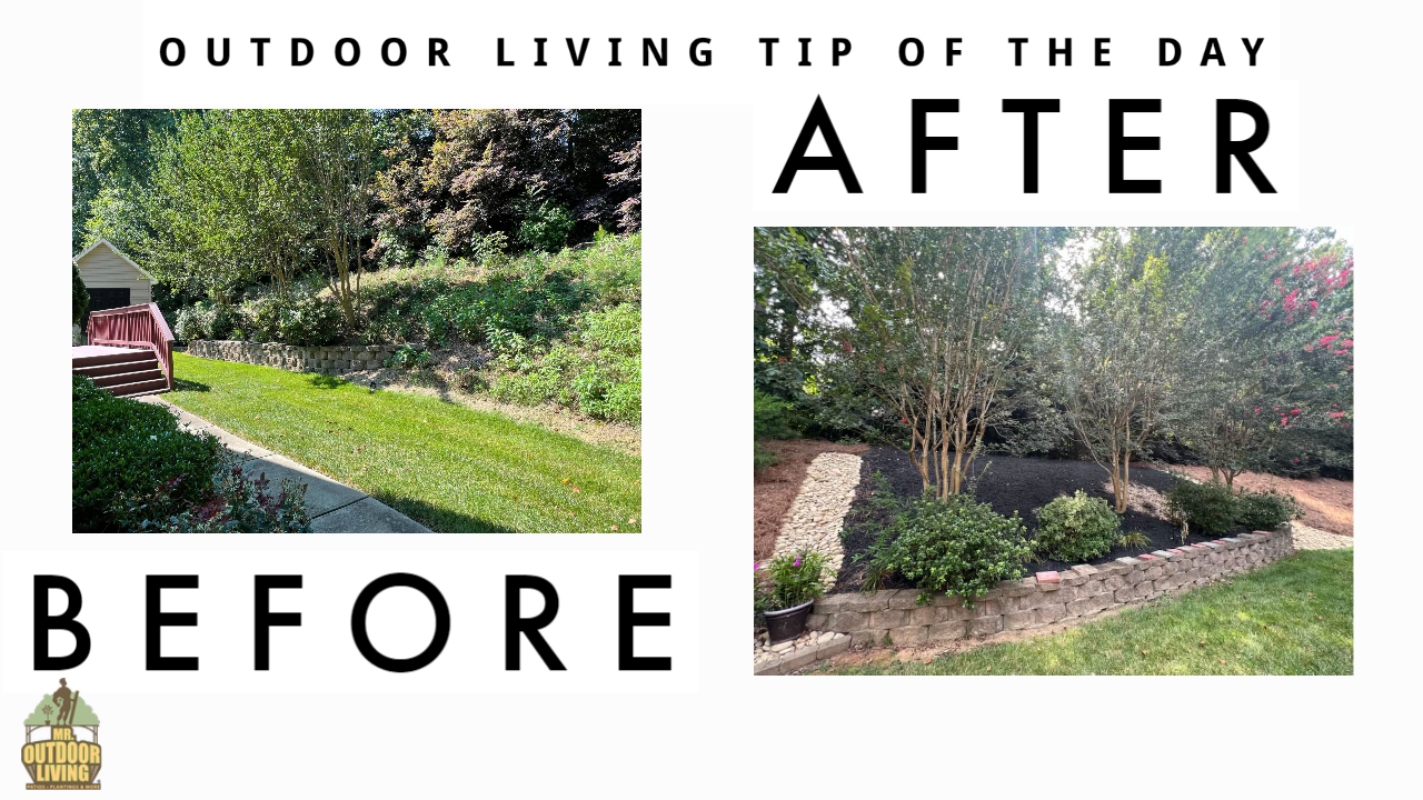 Enhancing Berm Appeal – Outdoor Living Tip of the Day