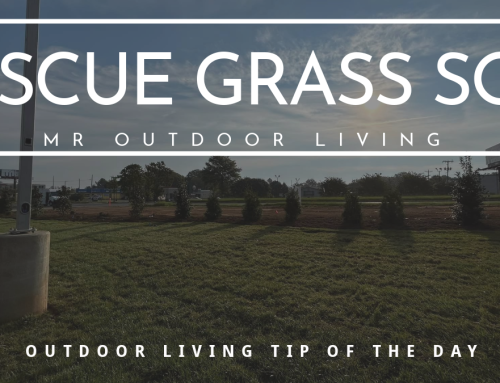 Fescue Grass Sod – Outdoor Living Tip of the Day