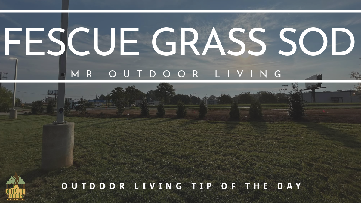 Fescue Grass Sod – Outdoor Living Tip of the Day