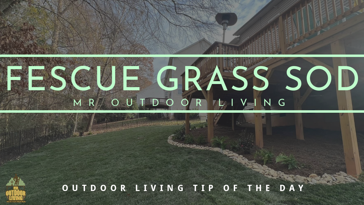 New Lawn with Fescue Grass Sod – Outdoor Living Tip of the Day