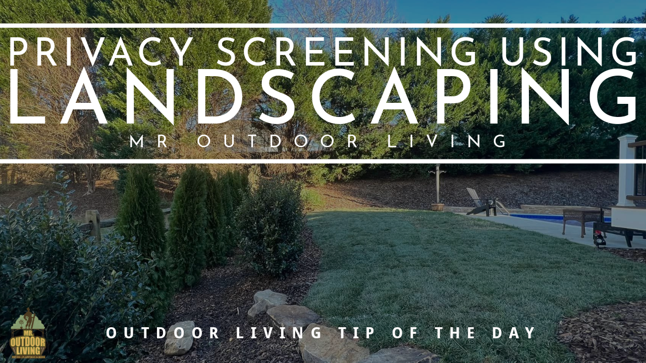 Privacy Screening using Landscaping – Outdoor Living Tip of the Day