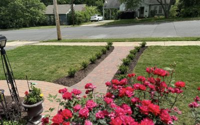 Paver Pathway – Outdoor Living Tip of the Day