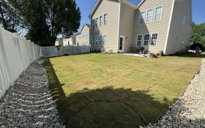 Sod – Outdoor Living Tip of the Day