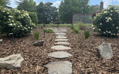 Stepping Stones – Outdoor Living Tip of the Day