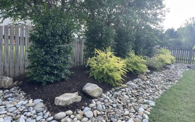 Landscaping in Charlotte – Outdoor Living Tip of the Day