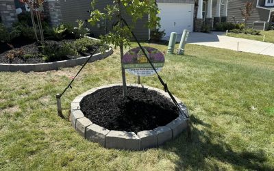 Curb Appeal – Mr. Outdoor Living Tip of the Day