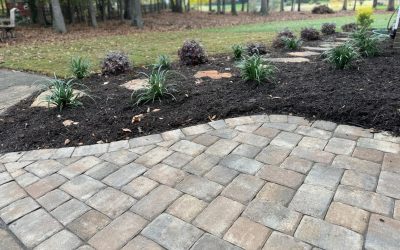 Best Landscaper – Mr. Outdoor Living Tip of the Day