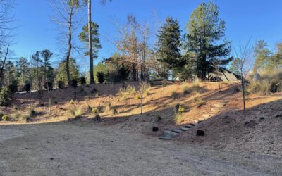 Privacy Landscaping – Mr. Outdoor Living Tip of the Day