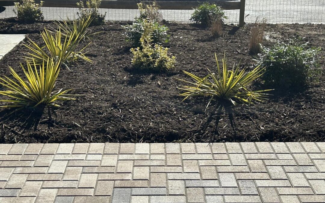 Paver Patio and Plantings – Mr. Outdoor Living