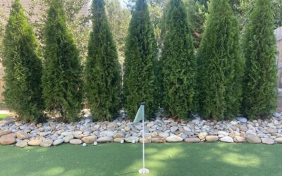 Putting Green – Mr. Outdoor Living Tip of the Day