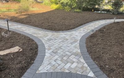 Belgard Hatteras Holland Paver Pathway – Mr. Outdoor Living Tip of the Day