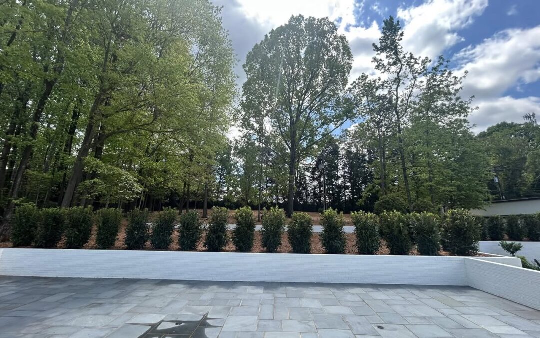 Privacy Plantings – Mr. Outdoor Living® Tip of the Day