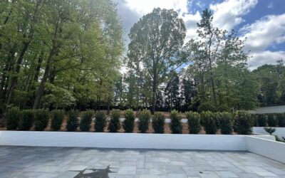 Privacy Plantings – Mr. Outdoor Living® Tip of the Day