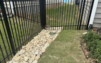 Pet Friendly Outdoor Living – Mr. Outdoor Living® Tip of the Day