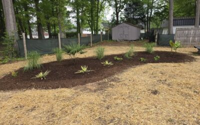 Landscaping and Grading around a Pool – Mr. Outdoor Living® Tip of the Day