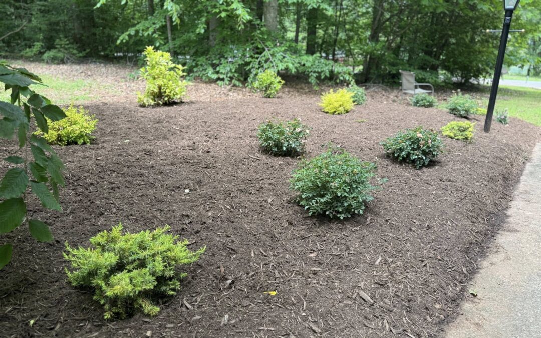Landscaping – Mr. Outdoor Living® Tip of the Day