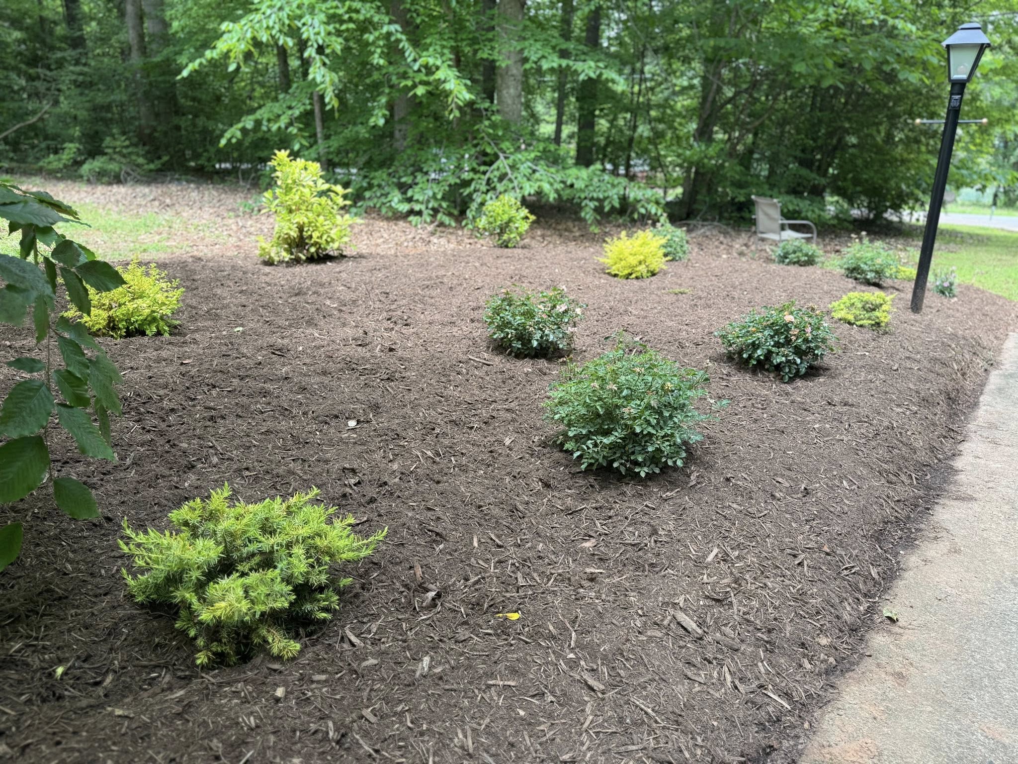 498179752_1939141586824917_7668534224709468478_n Landscaping