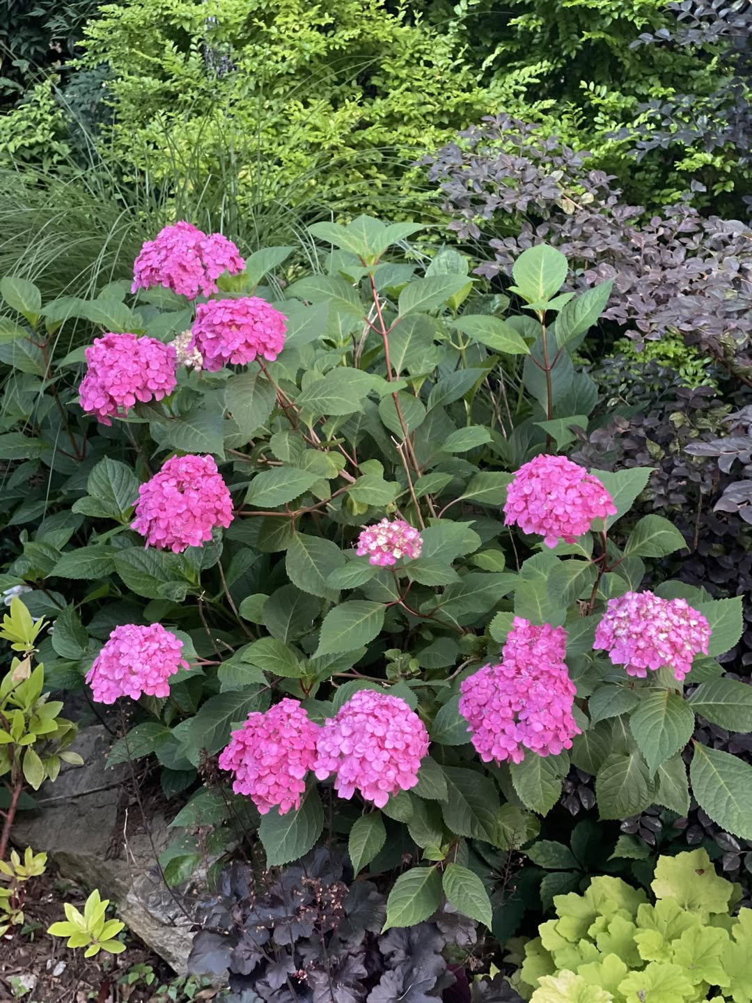 503830464_1953896258682783_7955941299798941246_n Landscaping in Charlotte
