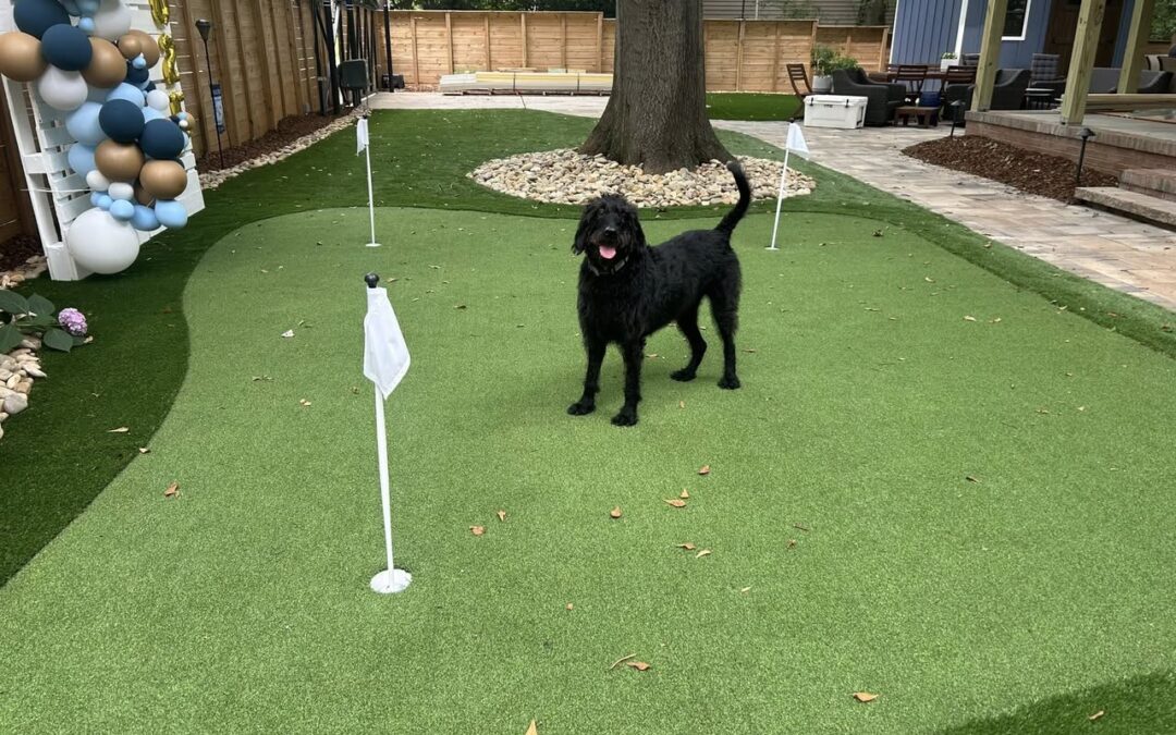 Artificial Turf Putting Green – Mr. Outdoor Living Tip of the Day